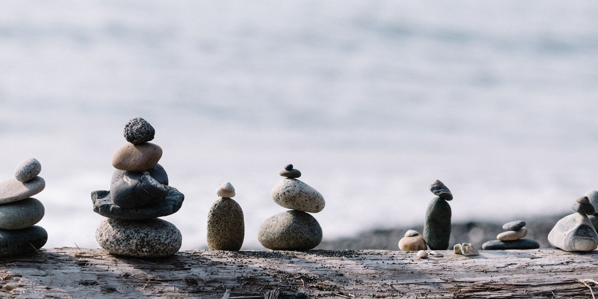 Making Sense of Investment Themes