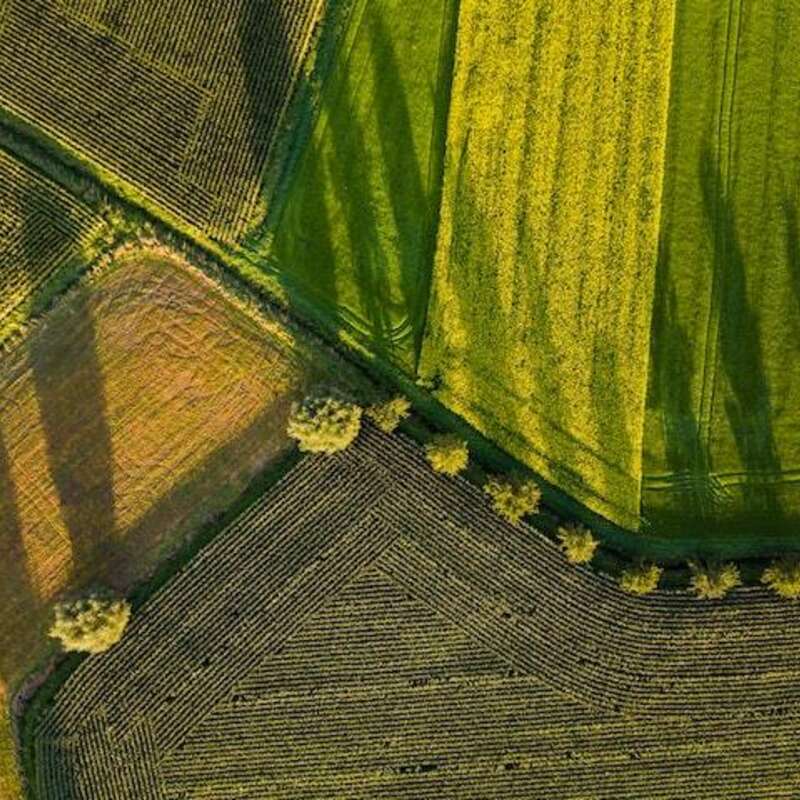 Potash Plots