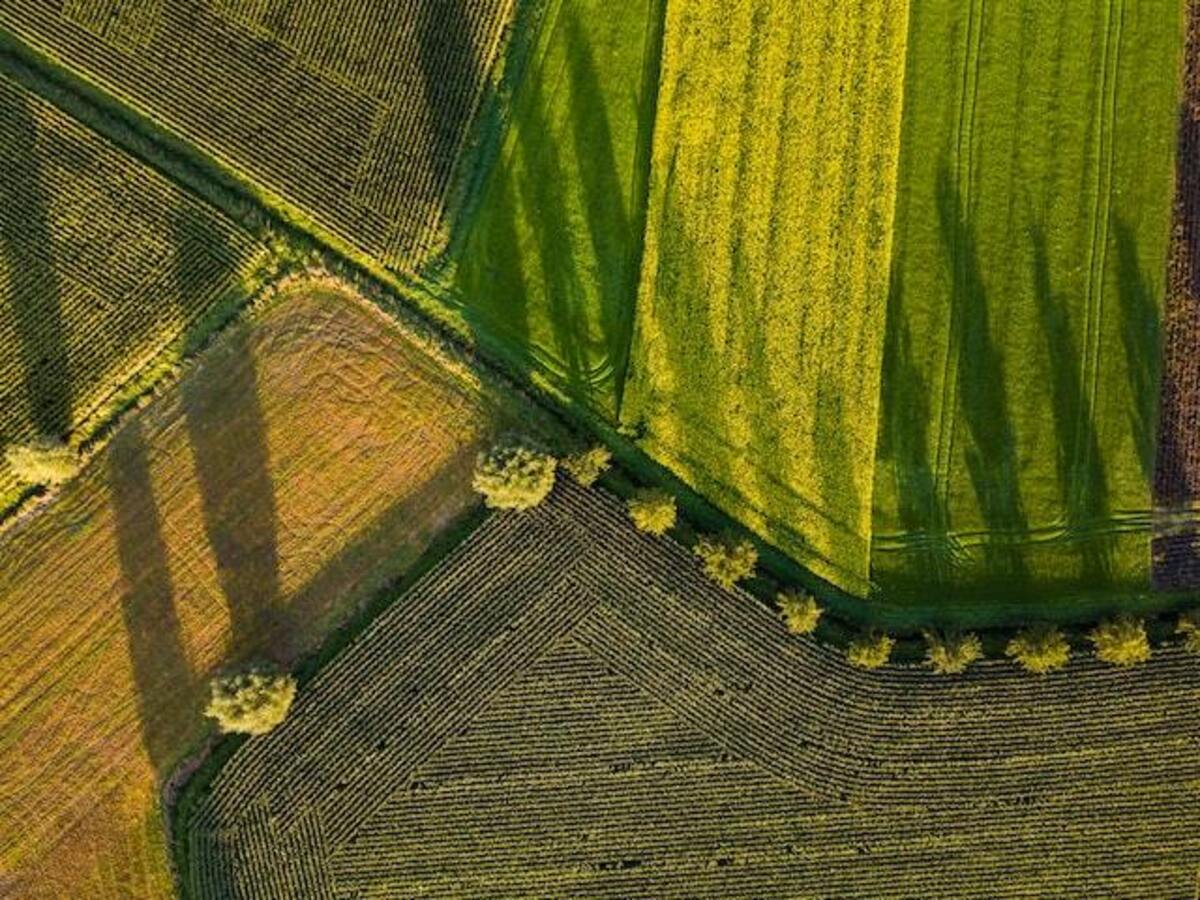 Potash Plots