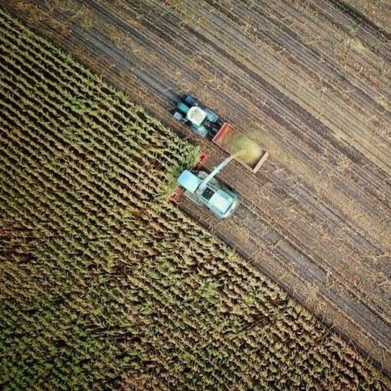 Agriculture