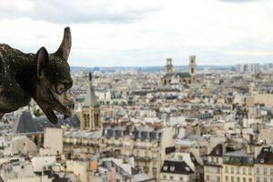 Gargoyle at Notre Dame