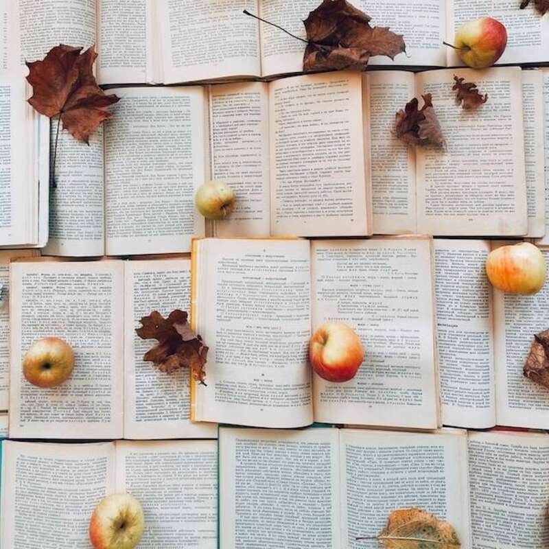 International education and for-profit schools