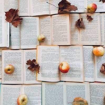 International education and for-profit schools