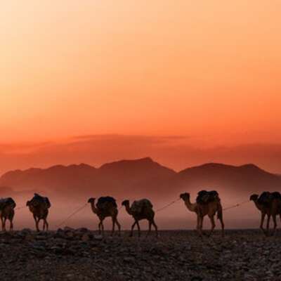 Middle East & Africa Emerging Markets Funds