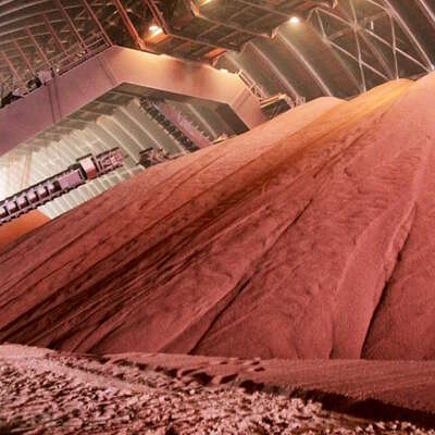 The Future of Food