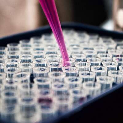30 Biotech LargeCap Firms 