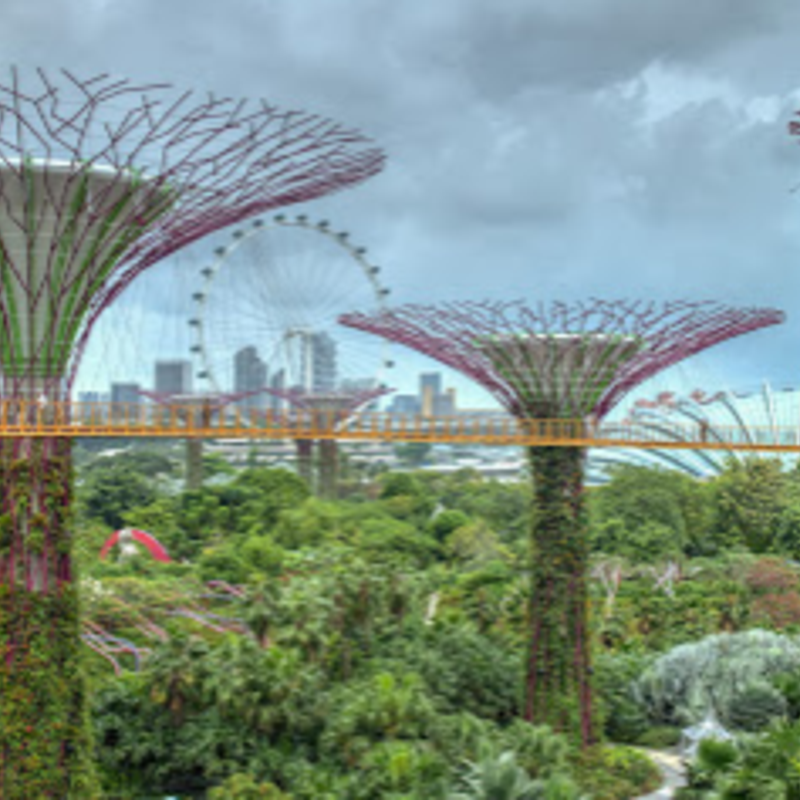 Singapore Companies all US listings