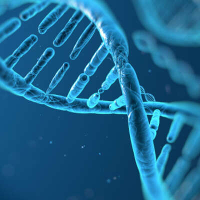 Biotechnology -  Top 100 by Market Cap